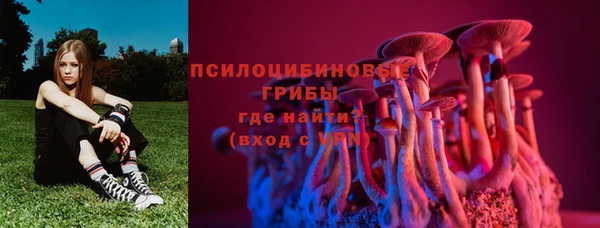 шишки Богородицк