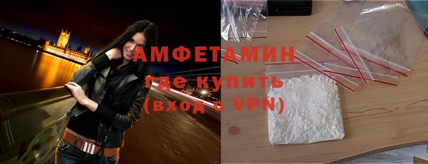 шишки Богородицк