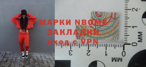 шишки Богородицк