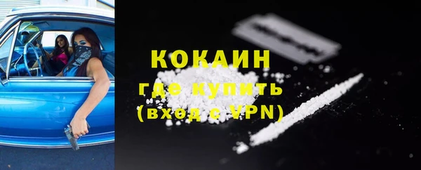 шишки Богородицк