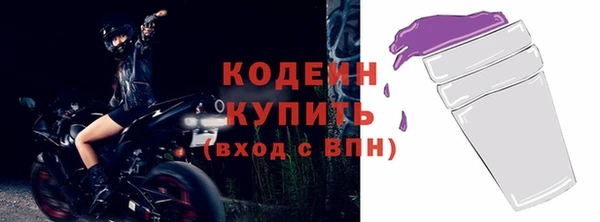 шишки Богородицк