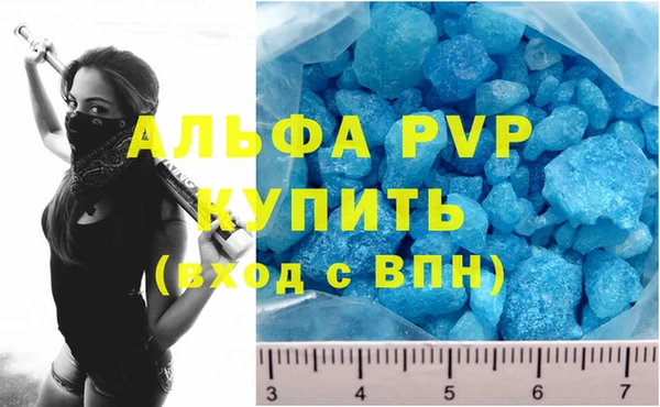 шишки Богородицк