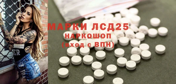 шишки Богородицк