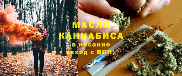 шишки Богородицк
