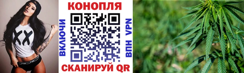 Конопля план  Каменск-Уральский 